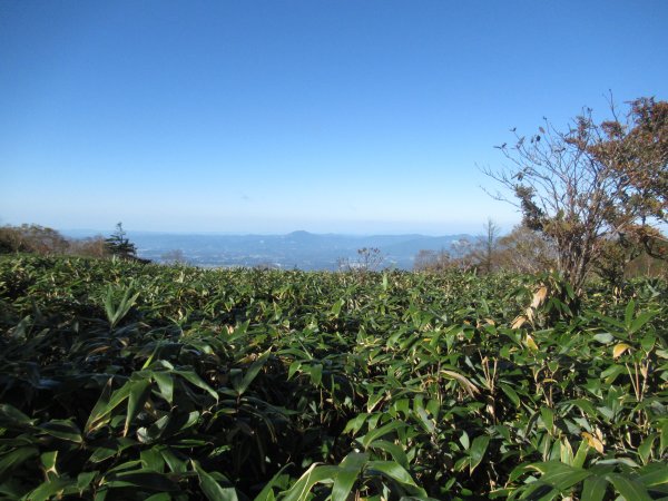 登山道